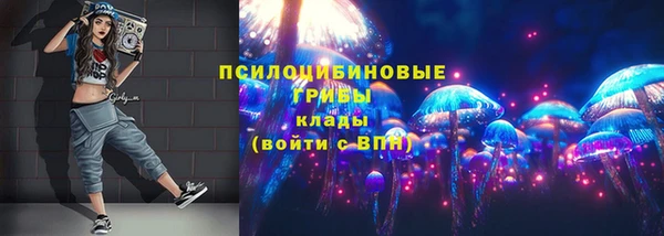 прущие грибы Алзамай