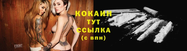 прущие грибы Алзамай