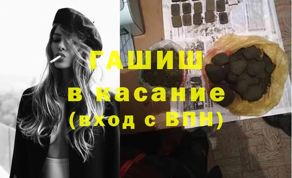 прущие грибы Алзамай